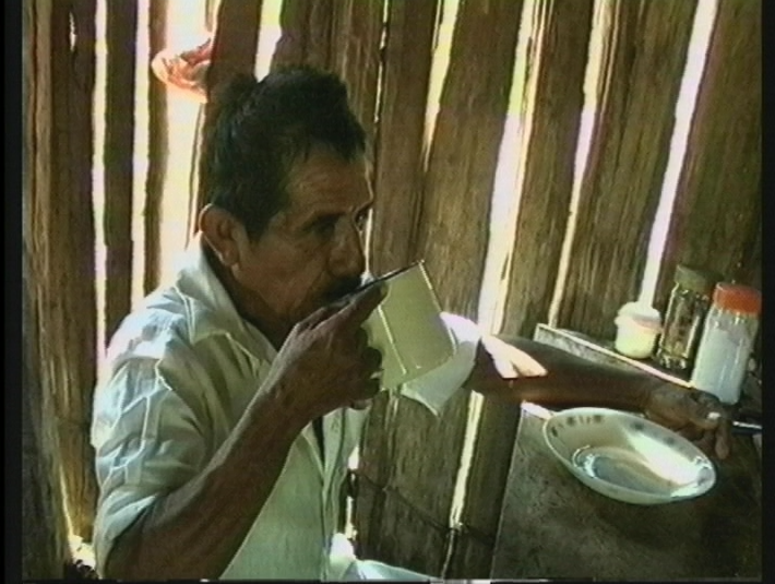 Descripción de la imagen